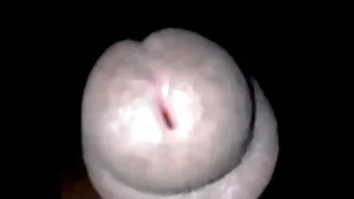 Gay Porn 0